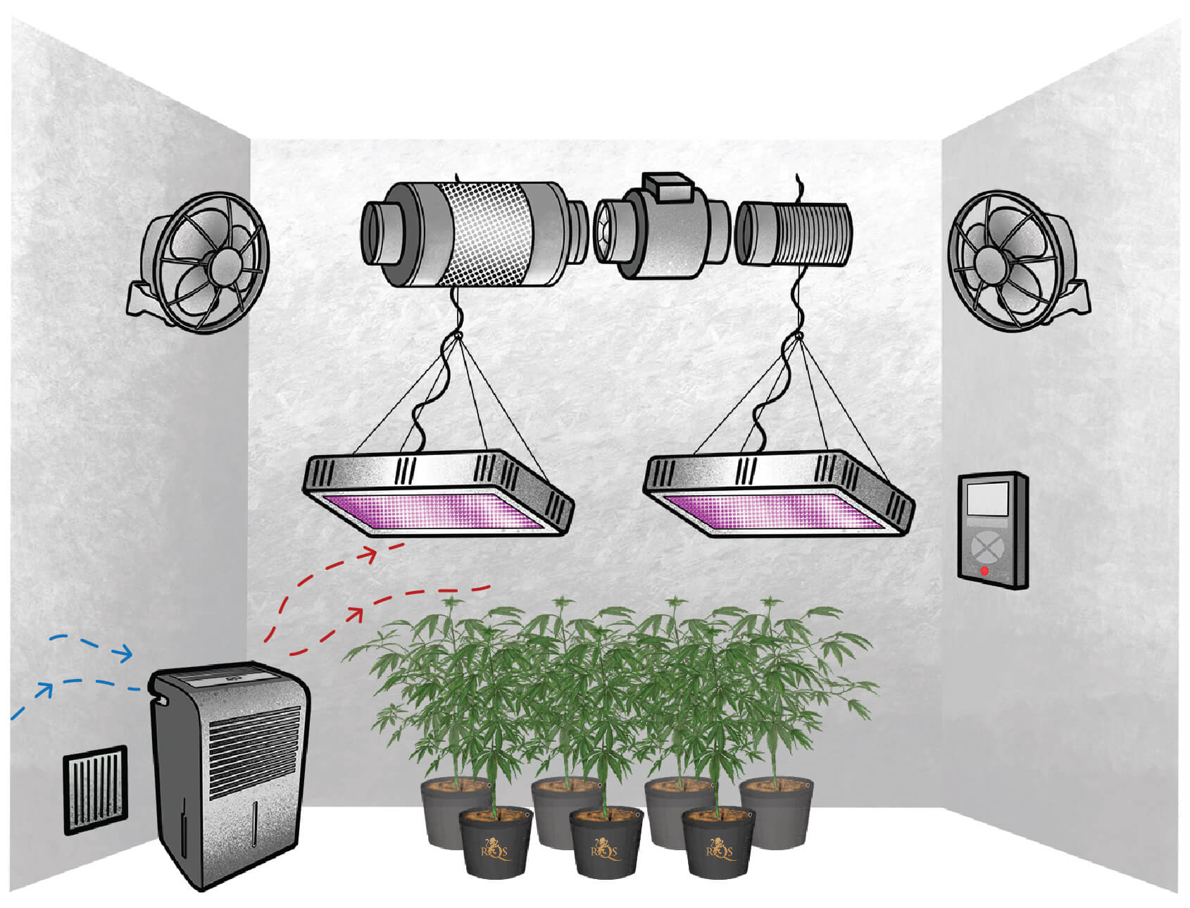 Cómo elegir el deshumidificador adecuado para cultivar marihuana Cómo elegir el deshumidificador adecuado para cultivar marihuana