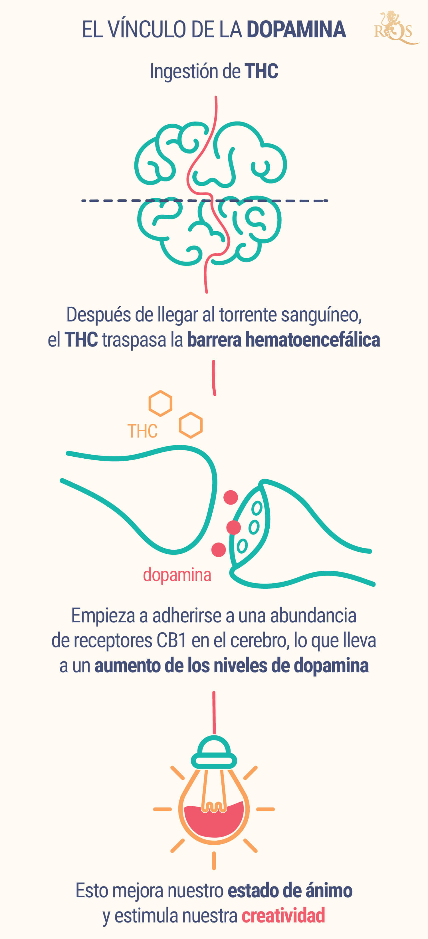 El Vínculo De La Dopamina El Vínculo De La Dopamina