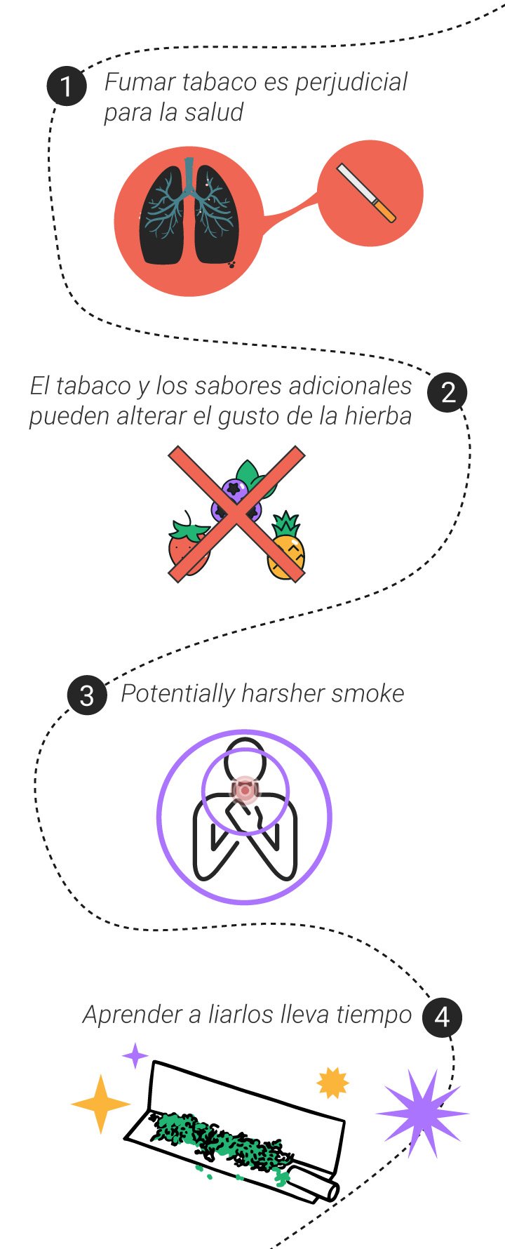 Contras de un blunt: tabaco y humo fuerte Infografía con cuatro contras de un blunt