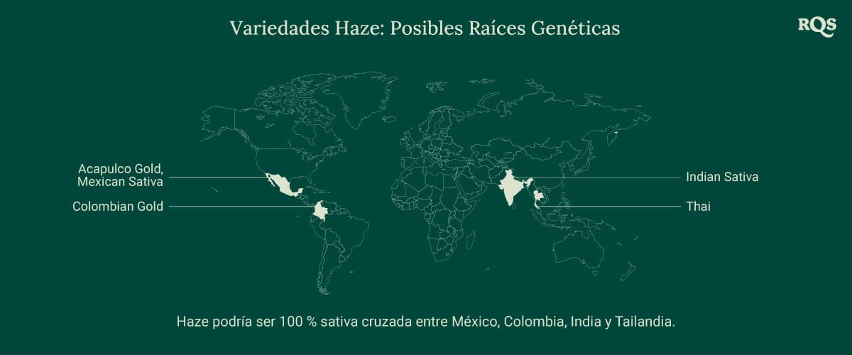 Variedades Haze: Su historia y orígenes Mapa mundial que muestra los posibles orígenes de las cepas de cannabis Haze, con líneas que conectan México, Colombia, India y Tailandia a un punto central etiquetado como