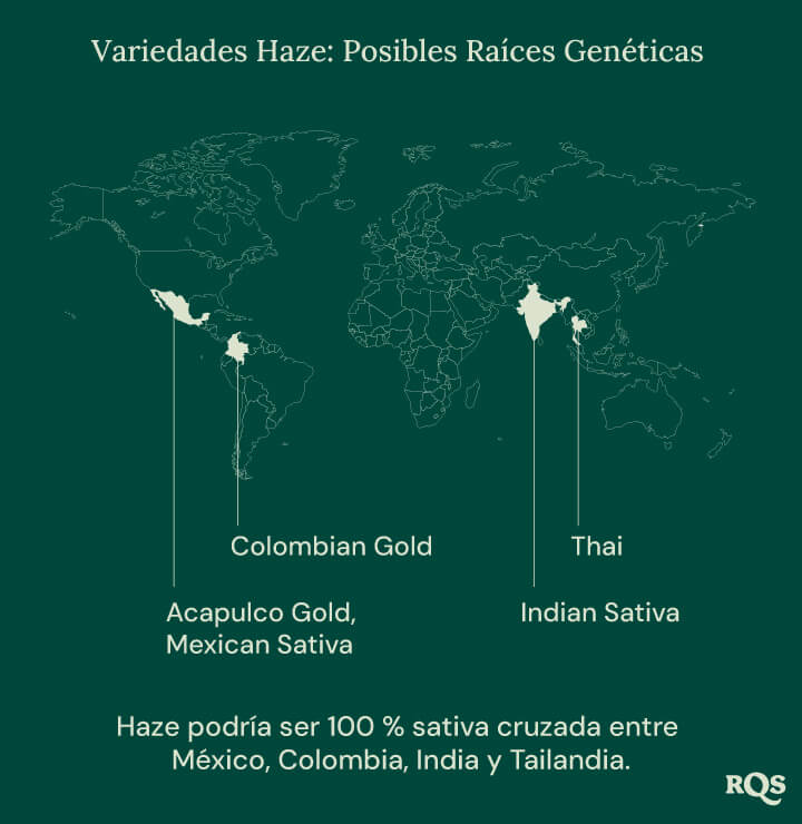 Variedades Haze: Su historia y orígenes Mapa mundial que muestra los posibles orígenes de las cepas de cannabis Haze, con líneas que conectan México, Colombia, India y Tailandia a un punto central etiquetado como