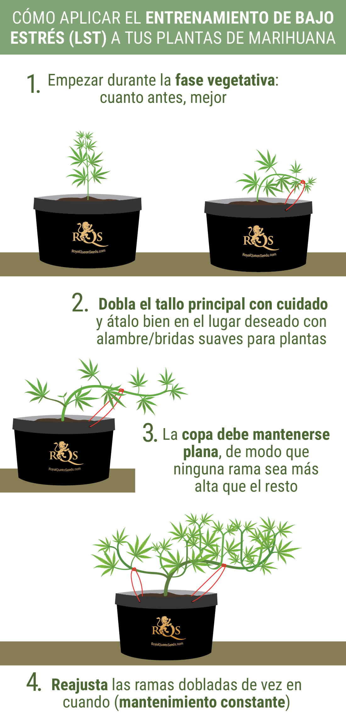 Cómo Aplicar el LST Cómo Aplicar el LST