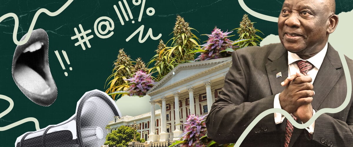 Sudáfrica y la legalización del cannabis: Esta imagen representa al presidente Ramaphosa, el parlamento y plantas de marihuana, aludiendo al debate en curso y la posible legalización del cannabis en Sudáfrica.
