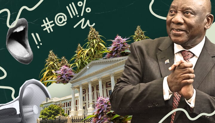 Sudáfrica y la legalización del cannabis: Esta imagen representa al presidente Ramaphosa, el parlamento y plantas de marihuana, aludiendo al debate en curso y la posible legalización del cannabis en Sudáfrica.