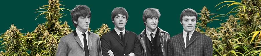 The Beatles Foto en blanco y negro de The Beatles, con los cuatro miembros, plantas de cannabis en el fondo y un fondo verde oscuro, destacando la escena icónica.