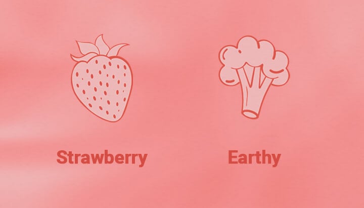 Strawberry Cough Strain Aroma Strawberry Cough Strain Aroma