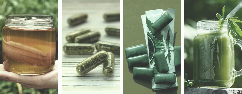 Todas las formas de consumir marihuana Todas las formas de consumir marihuana