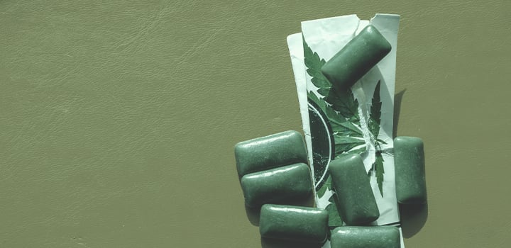 Todas las formas de consumir marihuana Todas las formas de consumir marihuana
