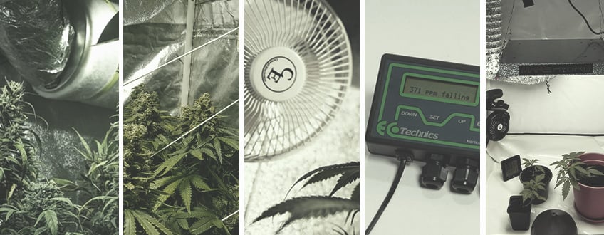 Optimizar tu entorno de cultivo Optimizar tu entorno de cultivo