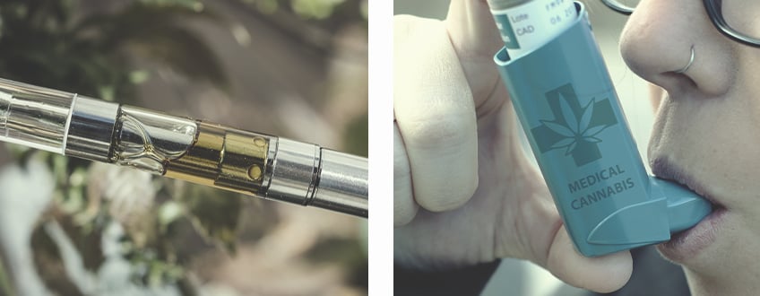 Todas las formas de consumir marihuana Todas las formas de consumir marihuana
