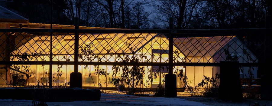 Cold environment greenhouse Cold environment greenhouse