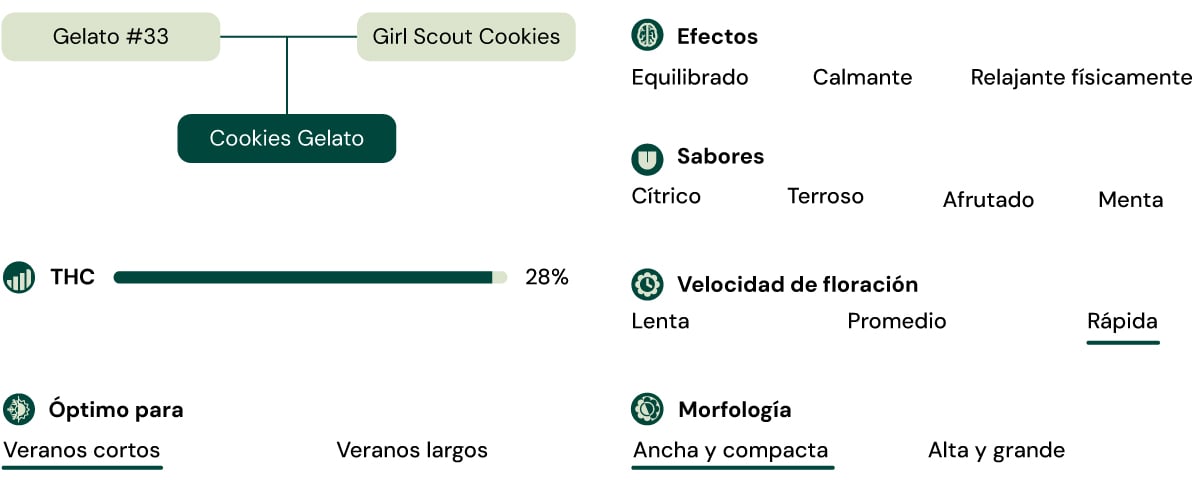 Cookies Gelato Key Attributes Cookies Gelato Key Attributes