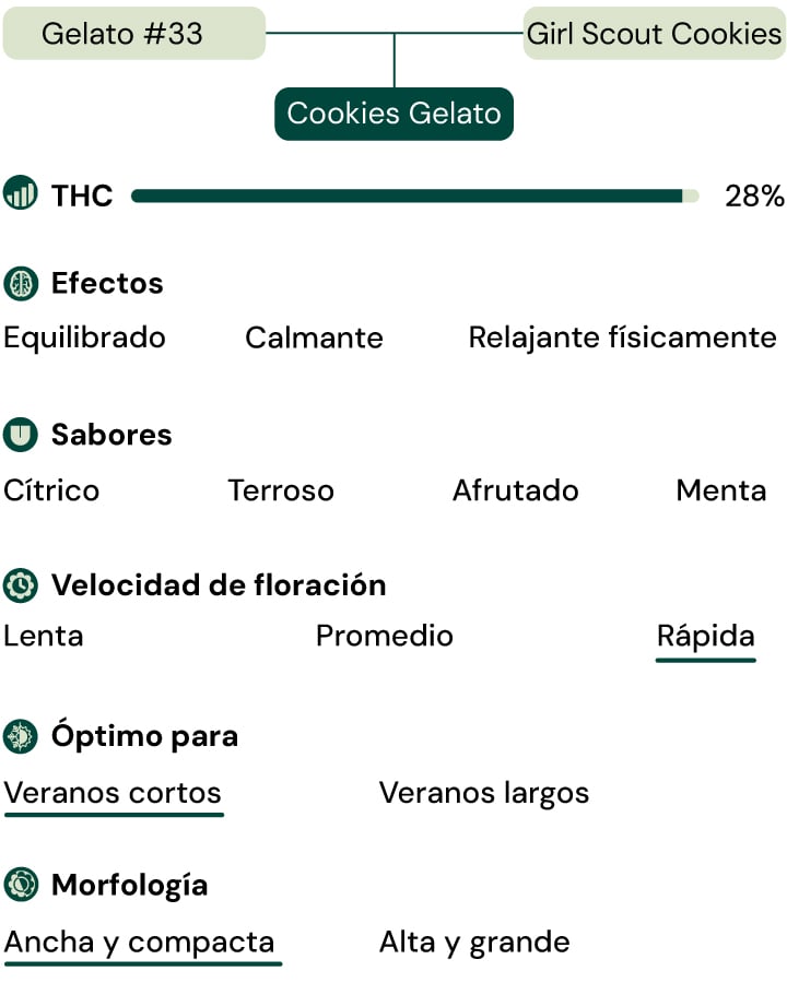 Cookies Gelato Key Attributes Cookies Gelato Key Attributes