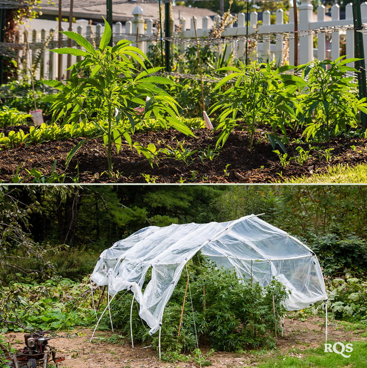 Instalación de Jardín y Protección de Plantas Dos imágenes: A la izquierda, plantas jóvenes en un jardín, y a la derecha, un jardín con un dosel de red protectora.
