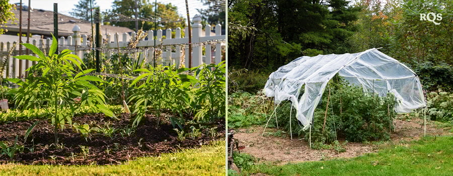 Instalación de Jardín y Protección de Plantas Dos imágenes: A la izquierda, plantas jóvenes en un jardín, y a la derecha, un jardín con un dosel de red protectora.