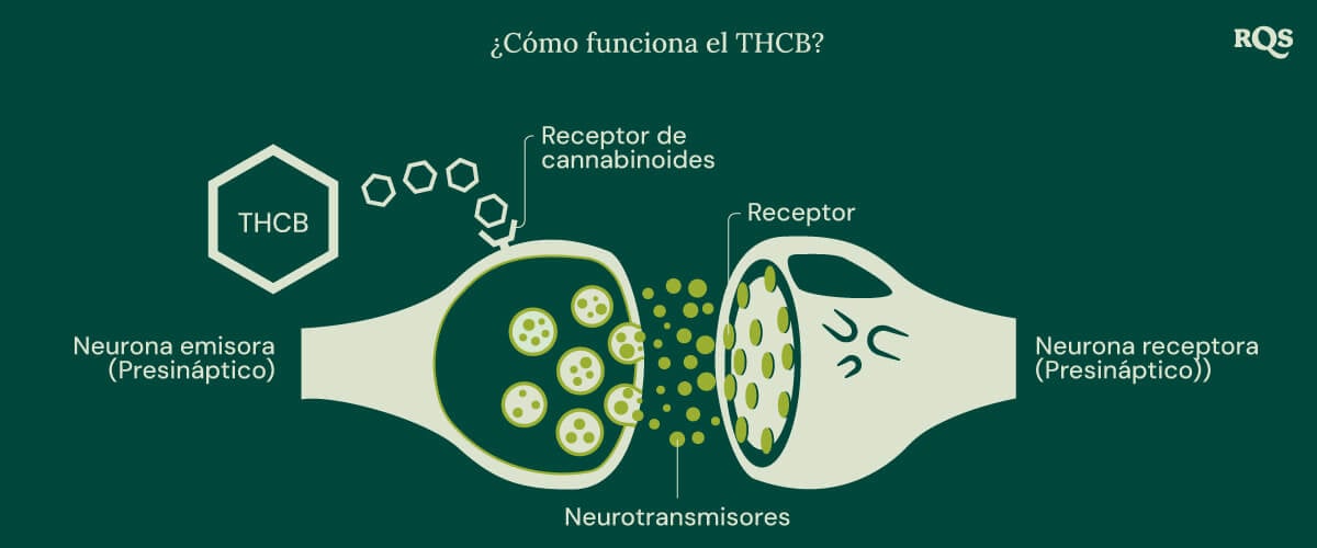 How does THCB work How does THCB work