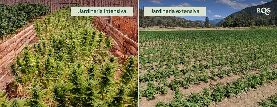 Prácticas de Jardinería: Herramientas y Suelo Dos imágenes: A la izquierda, una pala en el suelo, y a la derecha, manos sosteniendo un terrón de tierra, resaltando prácticas de jardinería.