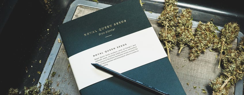 Journaling Diario de cultivo y cogollos secos. Documentar el proceso de cultivo es fundamental para aprender y optimizar los resultados.