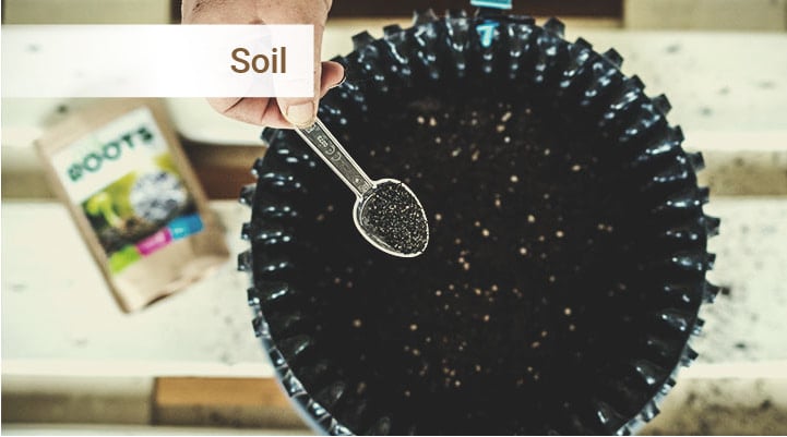 Fertilización: micronutrientes y macronutrientes Fertilización: micronutrientes y macronutrientes