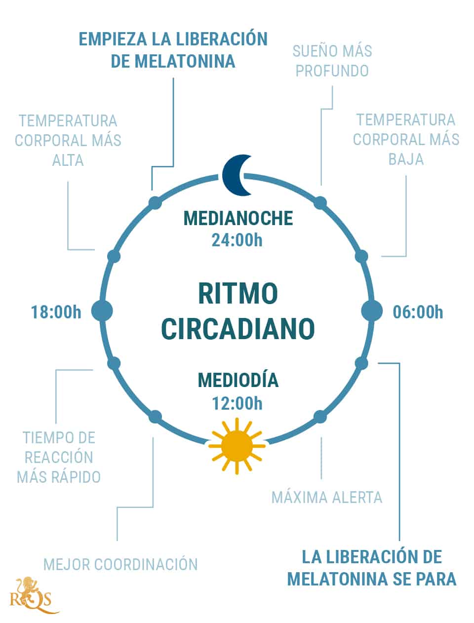 ¿Qué es el ritmo circadiano? ¿Qué es el ritmo circadiano?