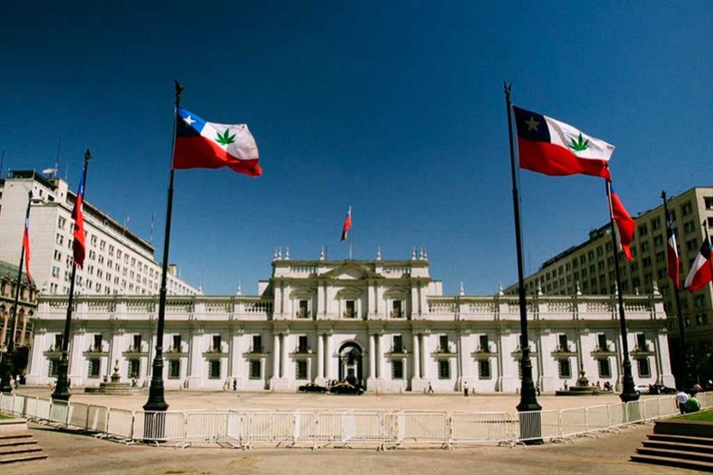 El cannabis en Chile